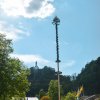 Maibaum 2019